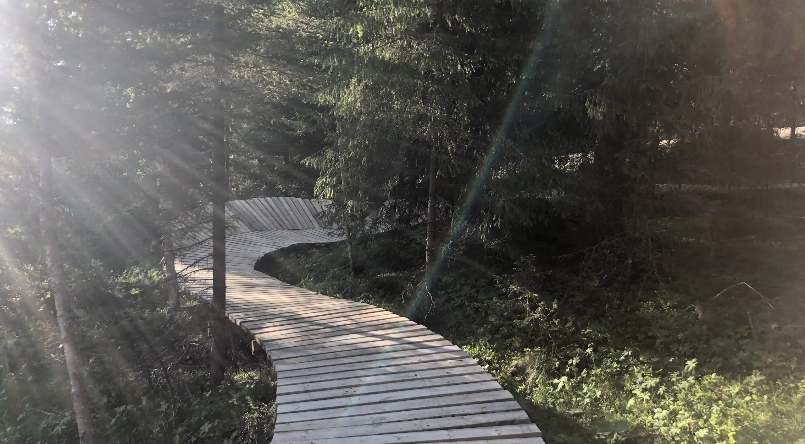 Trädäcket i Funäsdalen bike park