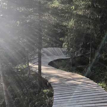 Trädäcket i Funäsdalen bike park