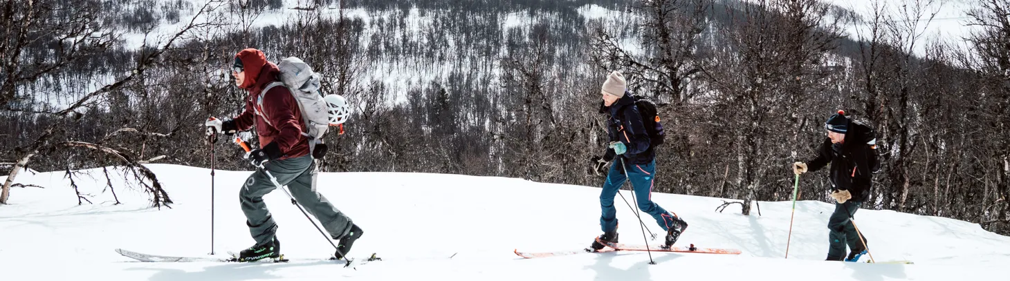 Tre personer går på tur på fjället
