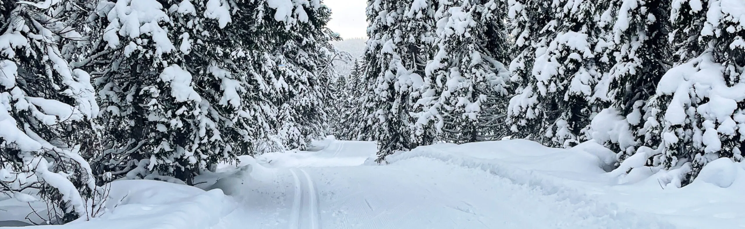 Längdspår mellan Funäsdalen och Bruksvallarna