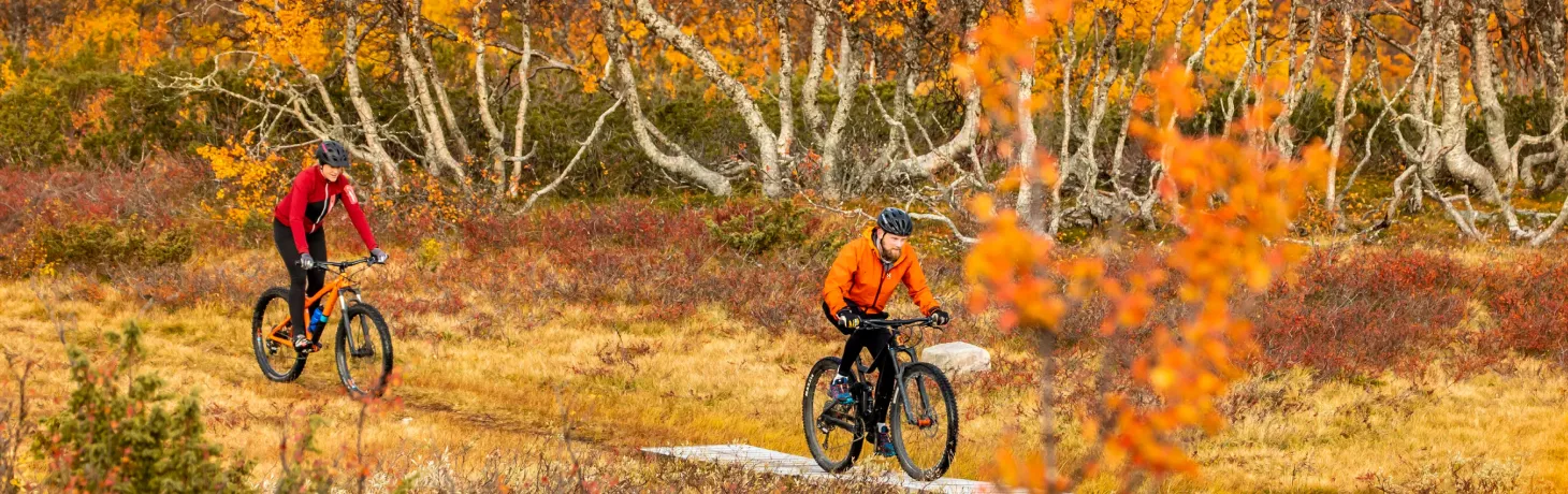 två personer cyklar mtb på hösten