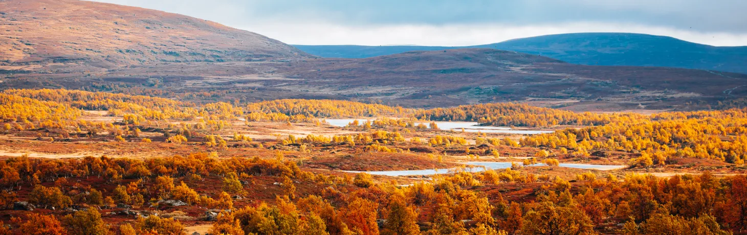 Vackra höstfärger i fjällen