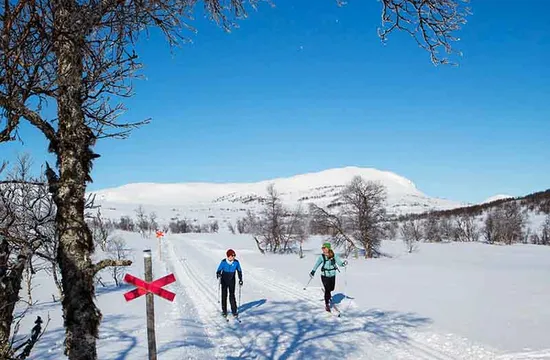 Längdåkare och ledkryss med fjäll i bakgrunden på Högfjällsspåren