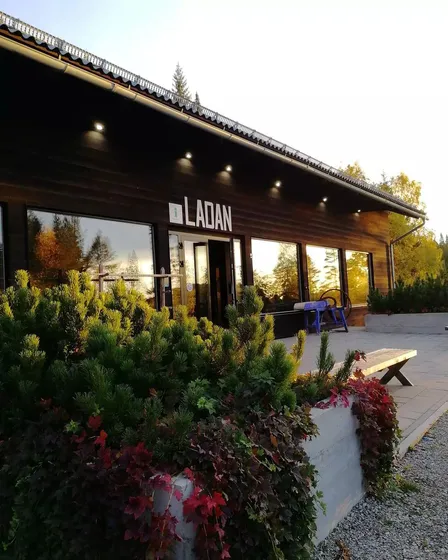 Sportladans fasad med skyltfönster. Plantering i förgrunden. .