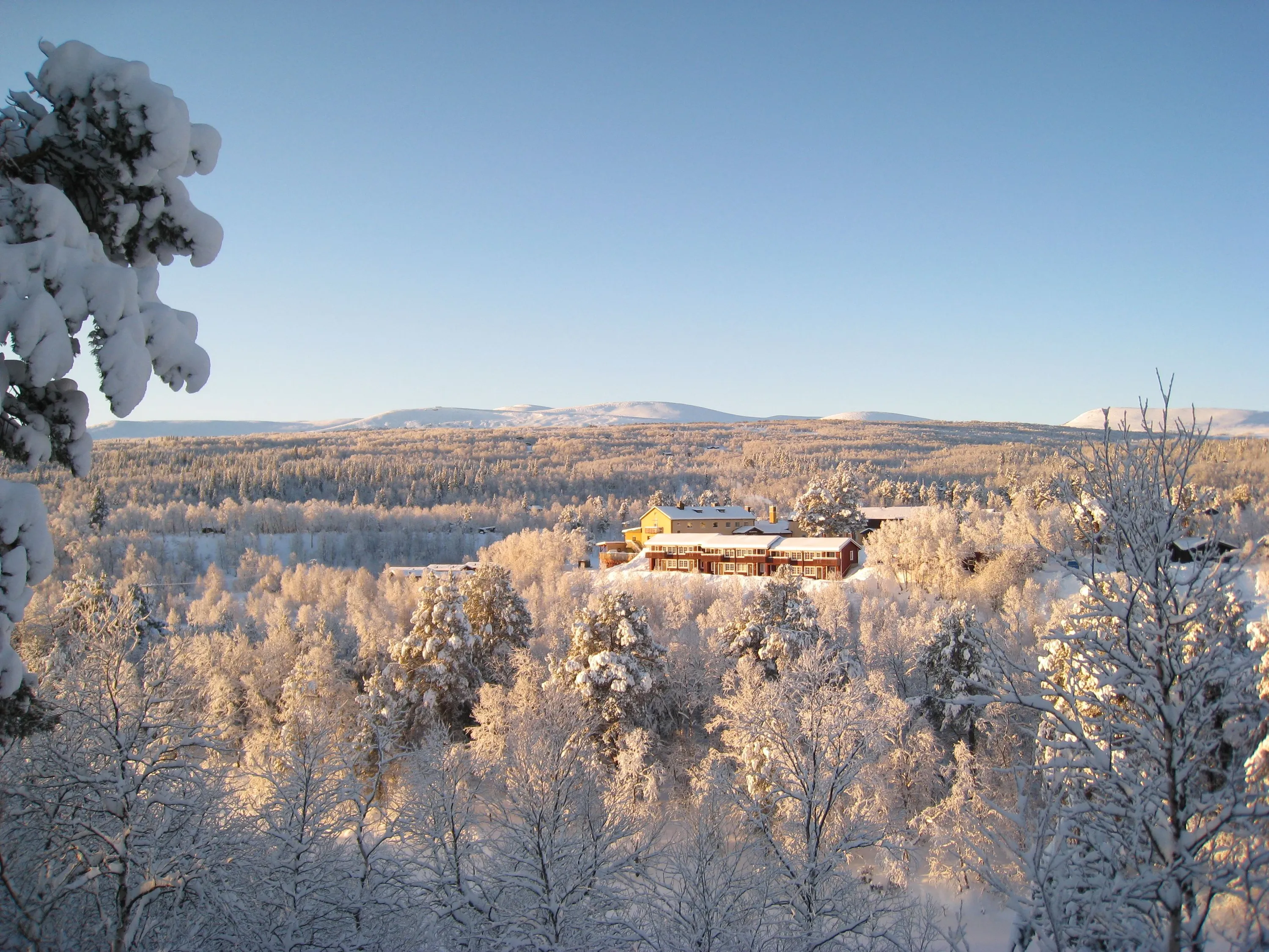 Vinterbild med snötäckta träd och Bruksvallslidens hotell i bakgrunden.