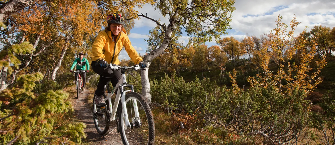 Cyklister på röstbergsleden bland björkskog