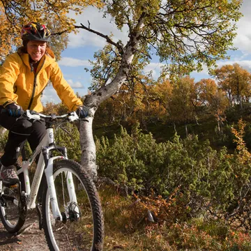 Cyklister på röstbergsleden bland björkskog