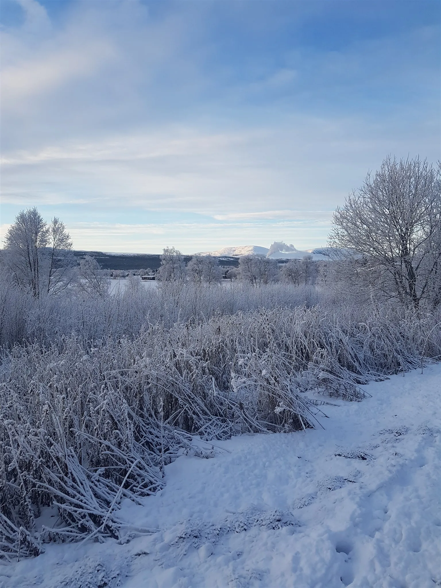 Snöig vinterbild med fjäll i bakgrunden.