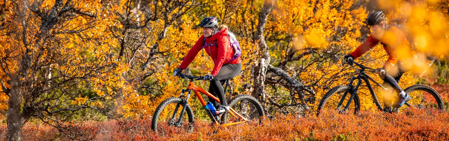 två personer cyklar mtb på hösten