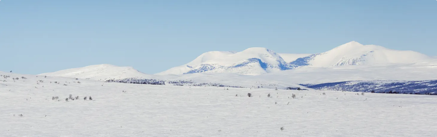 Fjäll i vårvinter