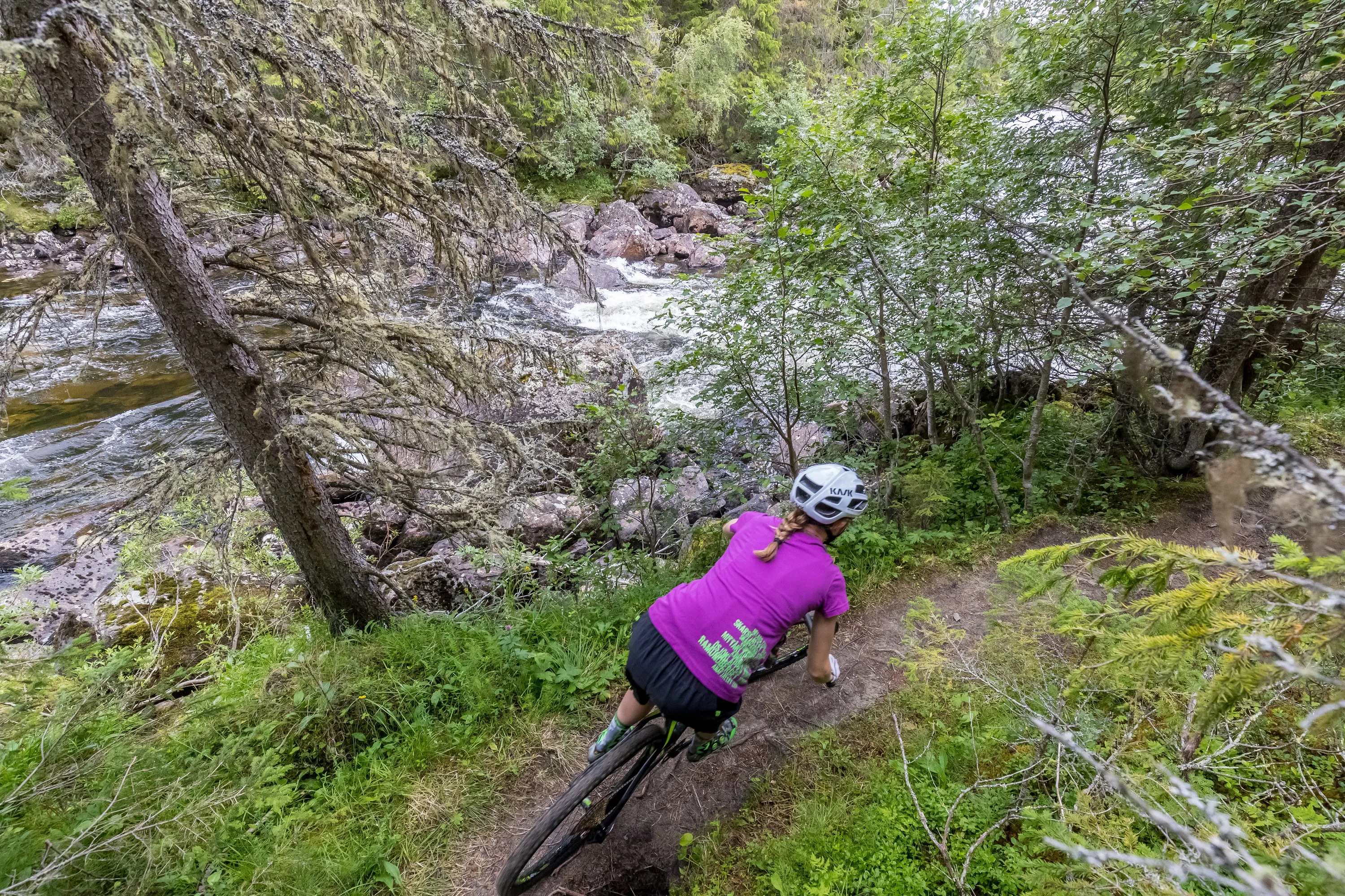 Stigcykling på Ljusnanturen