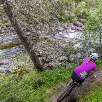 Stigcykling på Ljusnanturen
