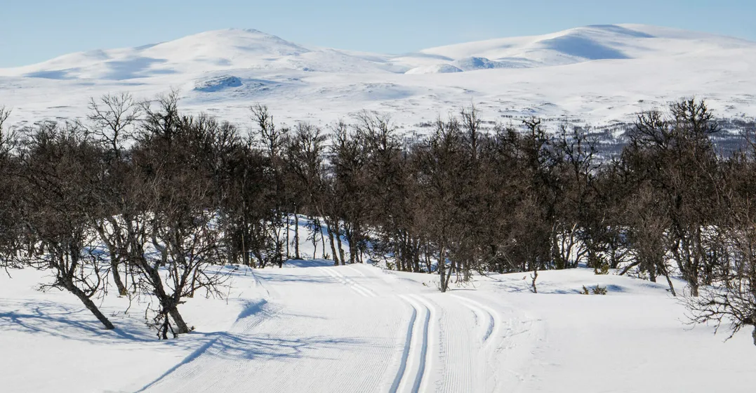 Längdspåren i Fjällnäs