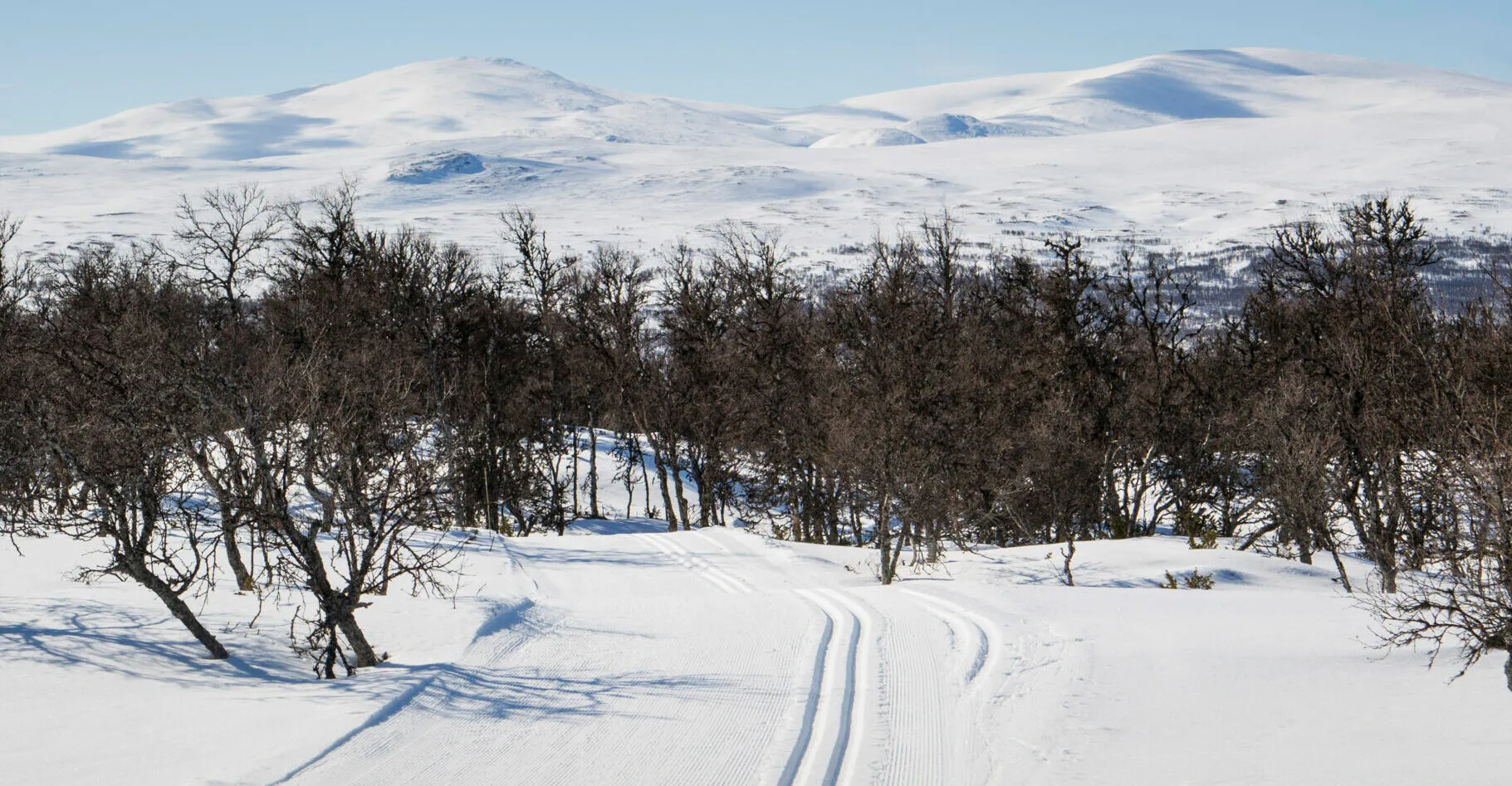 Längdspåren i Fjällnäs