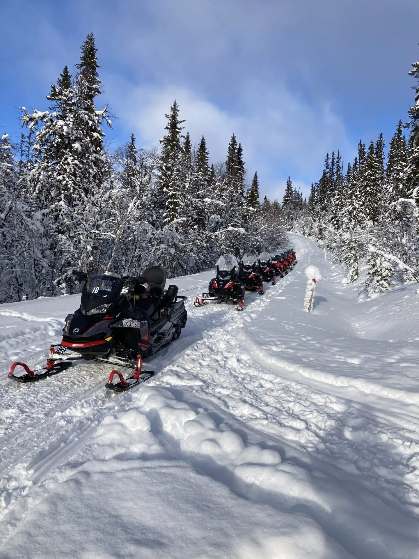 Skotrar på rad i ett snötäckt skogslandskap.